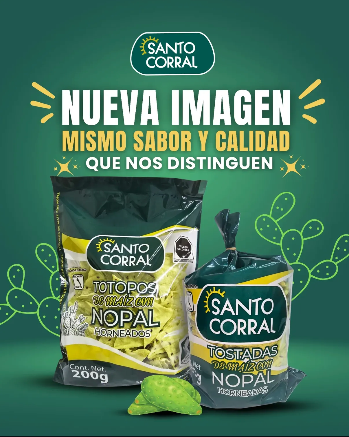 Totopos de Nopal - Chips